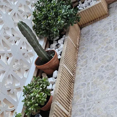 Calme Casa Apartment *